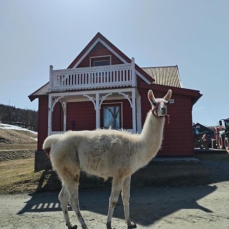 Sommerstue Hessdalen Екстериор снимка
