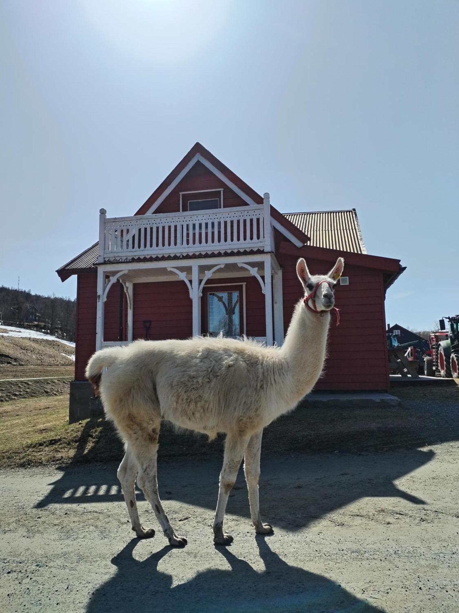 Sommerstue Hessdalen Екстериор снимка